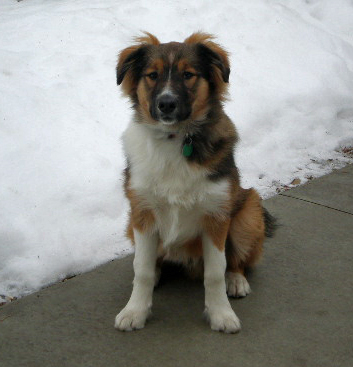 5 months old